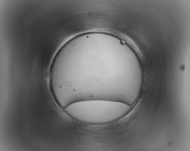 X0000102761284200808180923