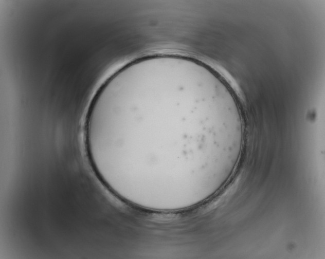 X0000102761285200808180923