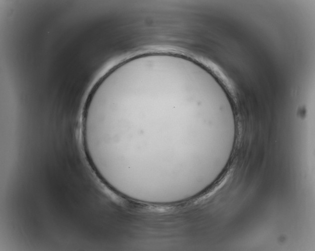 X0000102761286200808180923