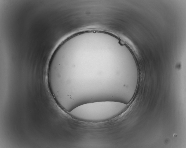 X0000102761288200808180923