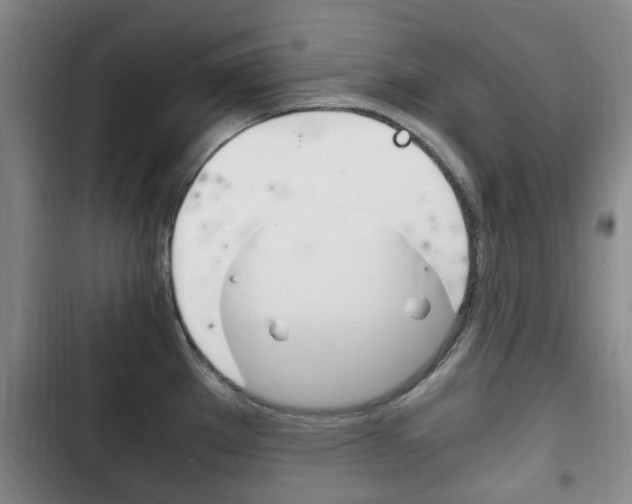 X0000102761289200808180923