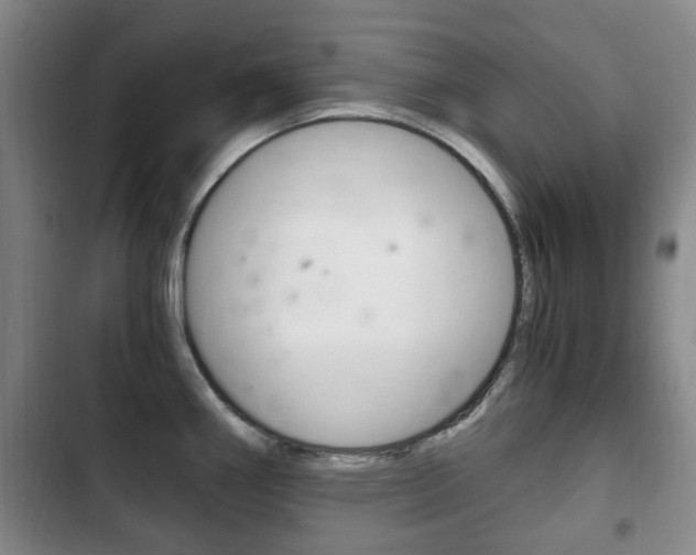 X0000102761290200808180922