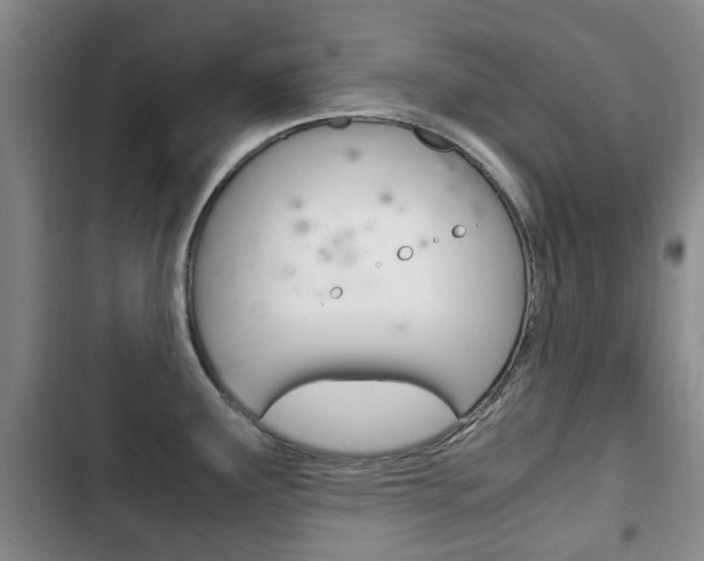 X0000102761291200808180922