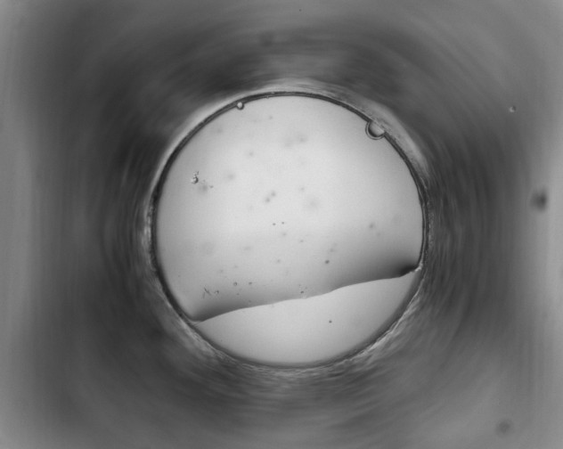 X0000102761292200808180922