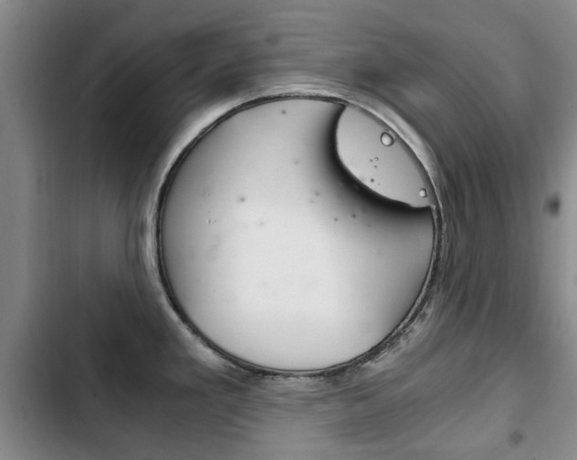 X0000102761293200808180922