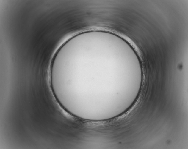 X0000102761294200808180922