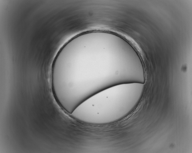 X0000102761295200808180922