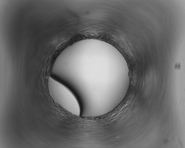 X0000102761297200808180922