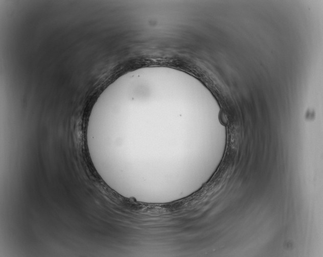 X0000102761298200808180922