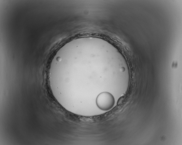 X0000102761302200808180922