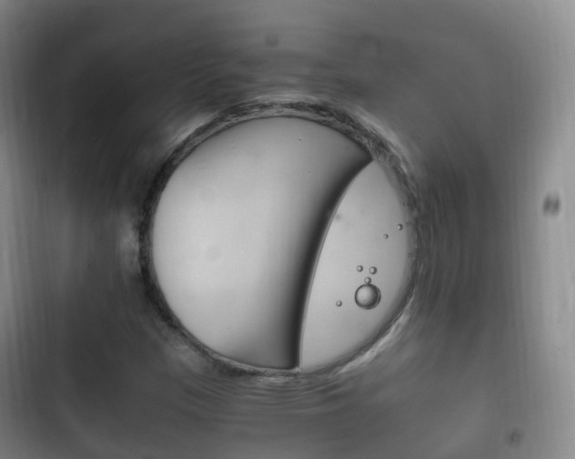 X0000102761305200808180922