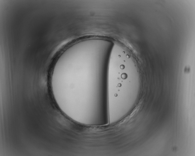 X0000102761307200808180922