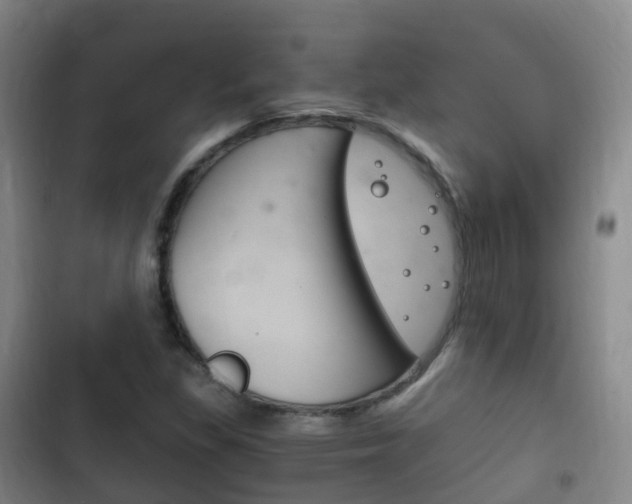 X0000102761309200808180922