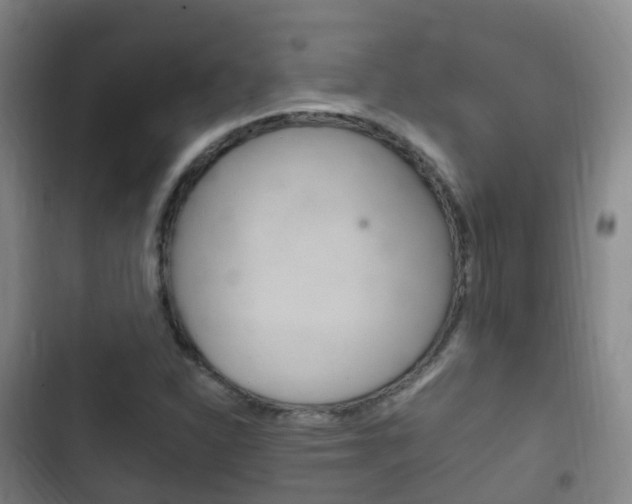 X0000102761310200808180922