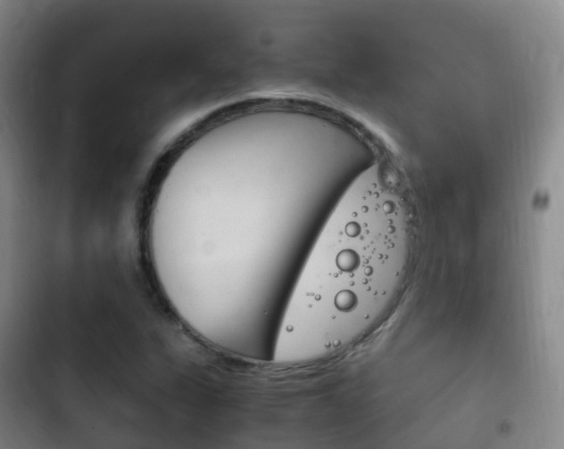X0000102761311200808180922