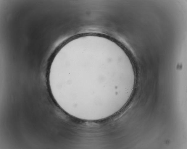 X0000102761312200808180922
