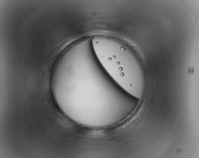 X0000102761313200808180922