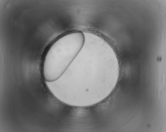 X0000102761314200808180922