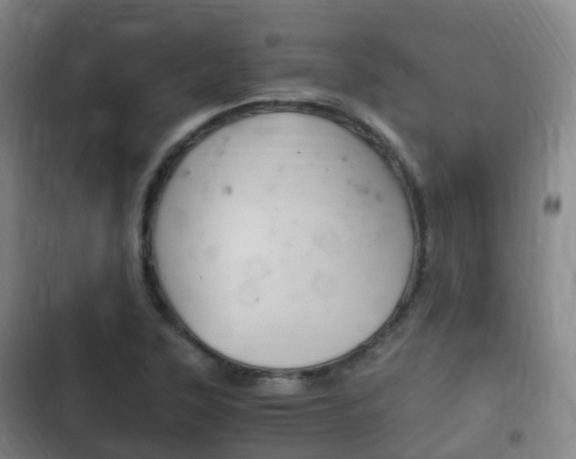 X0000102761315200808180922