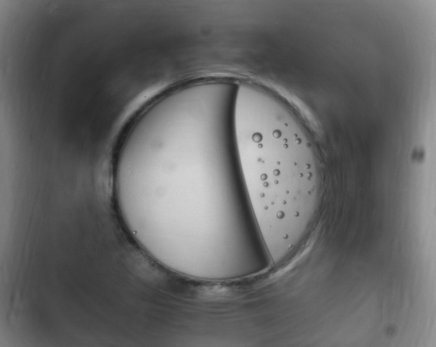 X0000102761317200808180922