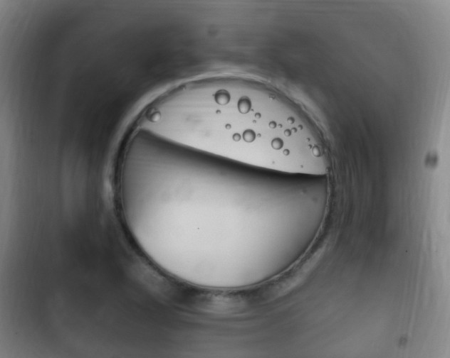 X0000102761318200808180922