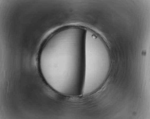 X0000102761319200808180922