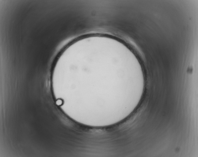 X0000102761320200808180922