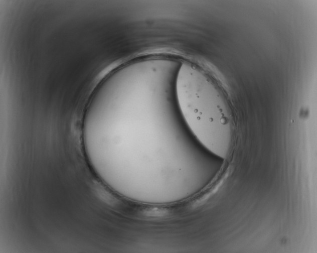 X0000102761321200808180922