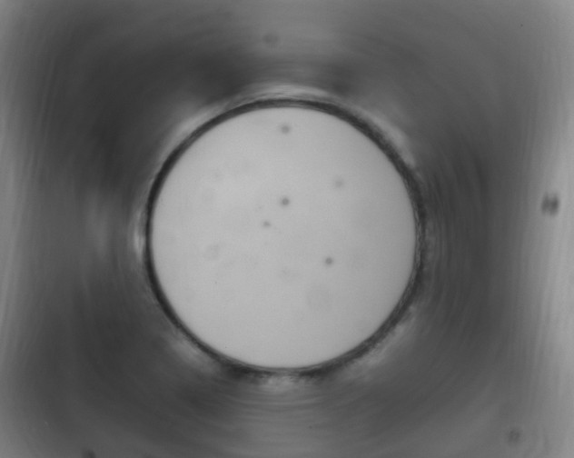 X0000102761322200808180922