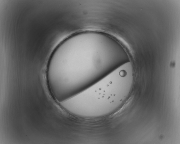 X0000102761325200808180922