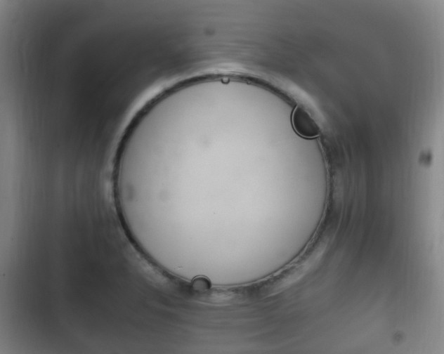 X0000102761326200808180922