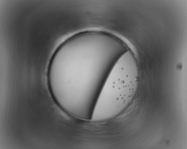 X0000102761327200808180922