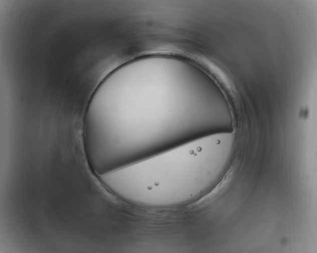 X0000102761329200808180922
