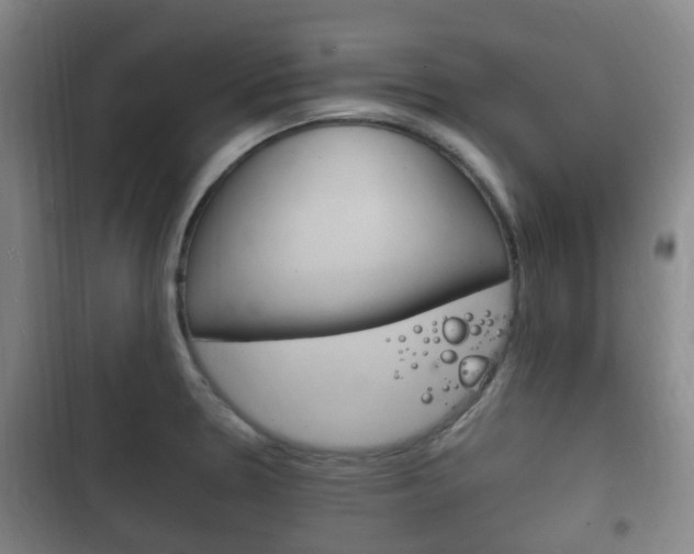X0000102761330200808180922