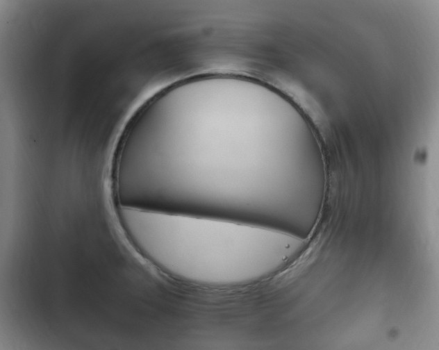X0000102761331200808180922