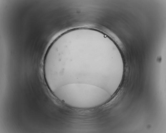 X0000102761332200808180922