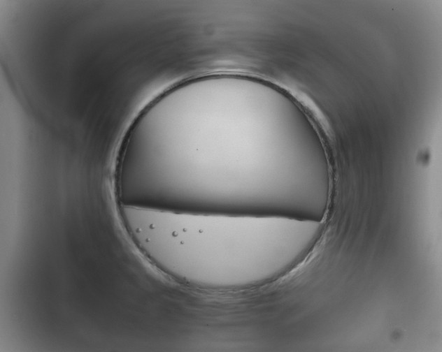 X0000102761333200808180922