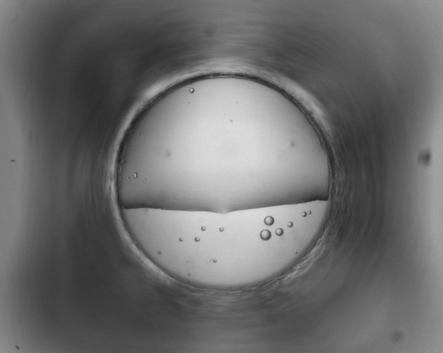 X0000102761334200808180922