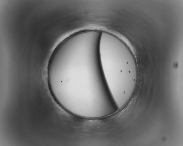 X0000102761335200808180922