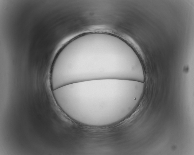 X0000102761336200808180922