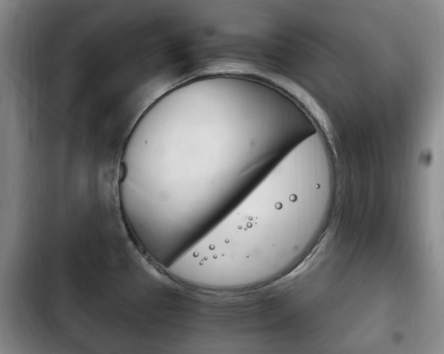 X0000102761337200808180922