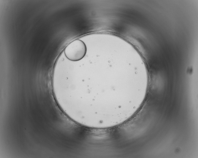 X0000102761338200808180922