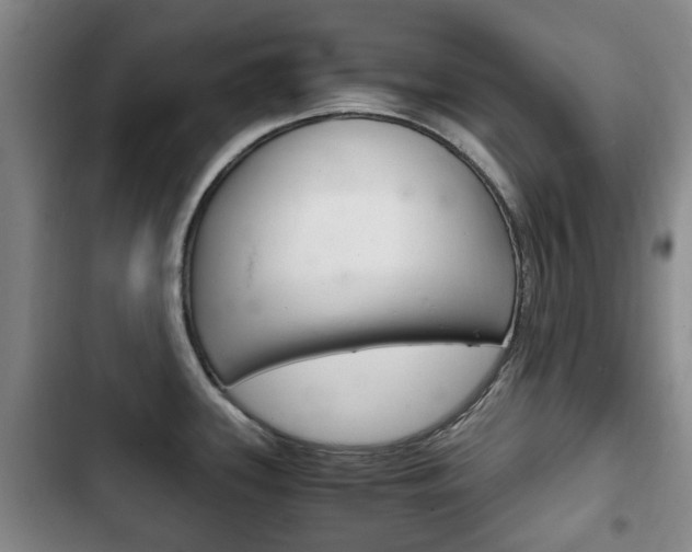 X0000102761339200808180922