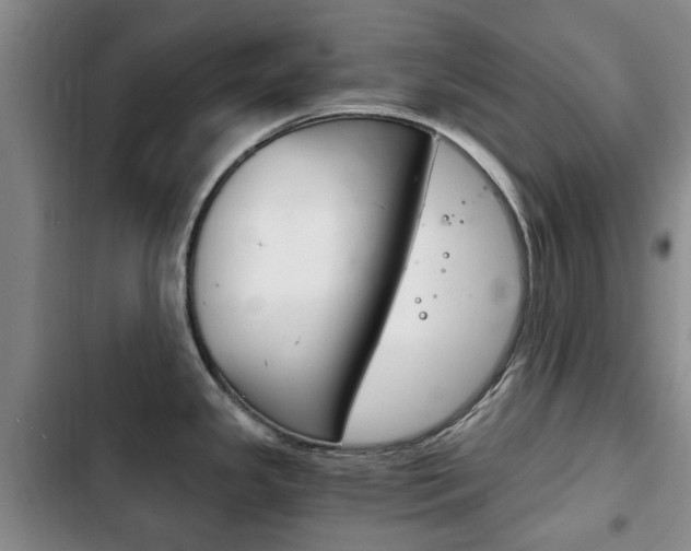 X0000102761341200808180922