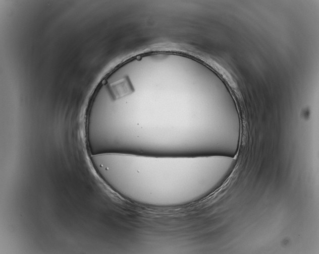 X0000102761342200808180922