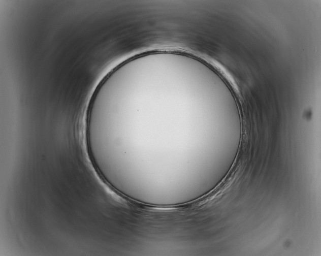 X0000102761343200808180922