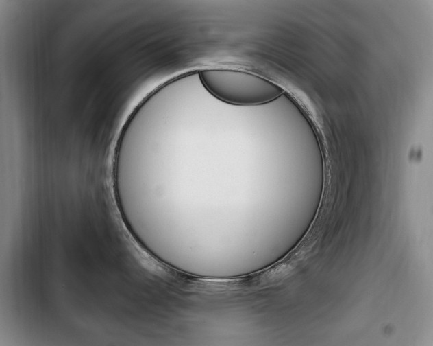 X0000102761344200808180922