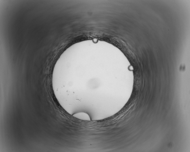X0000102761345200808180922