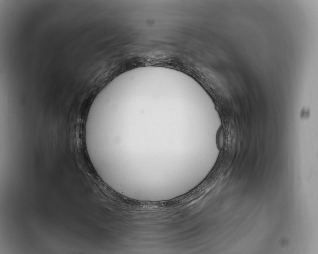 X0000102761346200808180922