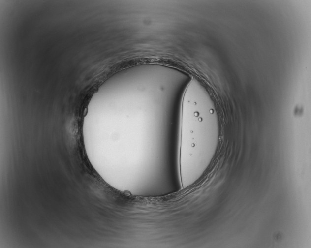 X0000102761347200808180922